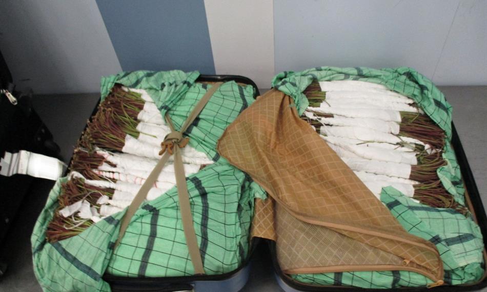 2017-11-23-736foto 4.JPG